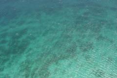DSC00082